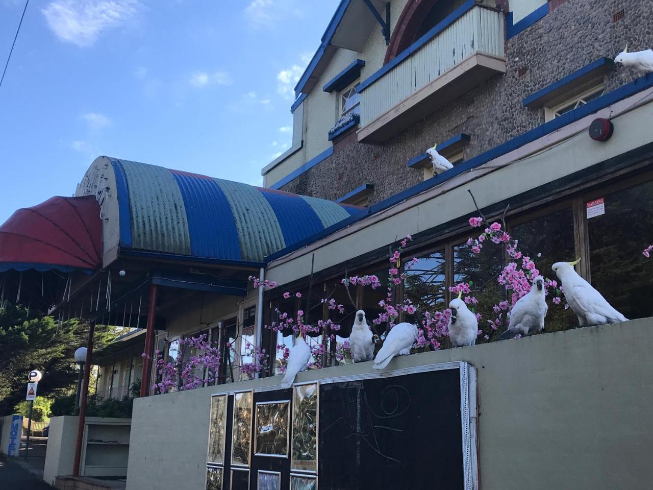 The Clarendon Motel Katoomba Exteriör bild